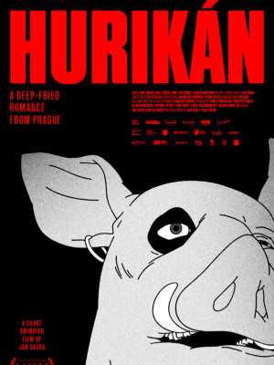 Hurikán